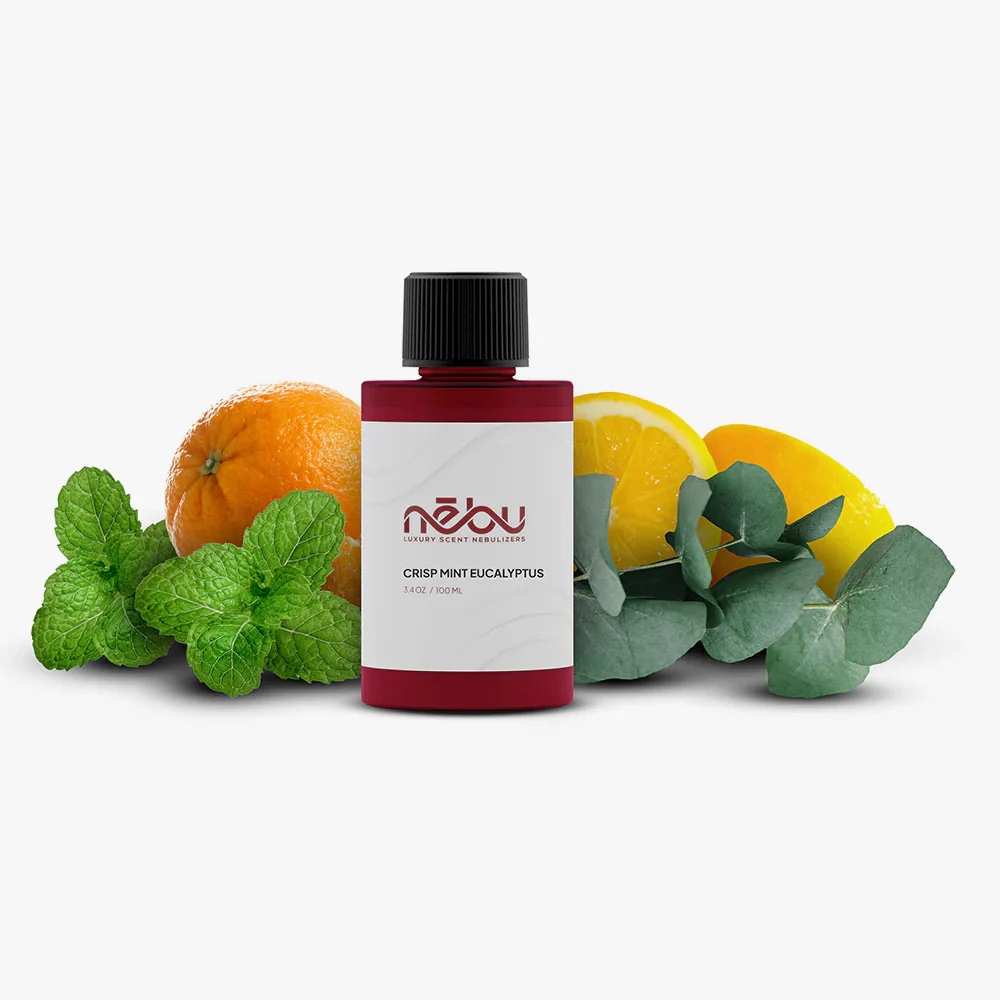 Crisp Mint Eucalyptus - Image 6