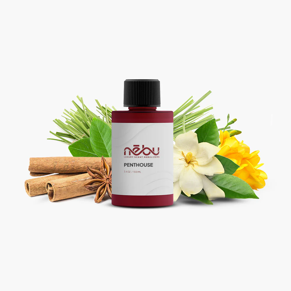 TOP 5 FRAGRANCE SET - Image 4